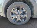 Dacia Sandero Stepway Extreme TCe 90 CVT Grün - thumbnail 13