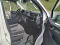 Volkswagen T6 Multivan Multivan Trendline 2,0 TDI 4Motion BMT Trendline Weiß - thumbnail 10
