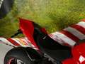 Ducati Panigale V4 S ERVICE NEU|VIELE EXTRAS & CARBON] crvena - thumbnail 9