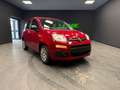 Fiat Panda Panda III 2024 1.0 firefly hybrid s Rot - thumbnail 1