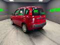 Fiat Panda Panda III 2024 1.0 firefly hybrid s Rot - thumbnail 5