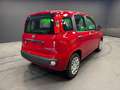Fiat Panda Panda III 2024 1.0 firefly hybrid s Rot - thumbnail 7