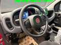 Fiat Panda Panda III 2024 1.0 firefly hybrid s Rot - thumbnail 10
