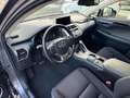 Lexus NX 300 Hybrid 4WD Business Grau - thumbnail 9
