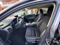Lexus NX 300 Hybrid 4WD Business Grigio - thumbnail 6