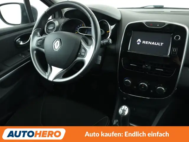 Renault Clio view 13