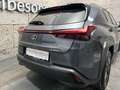 Lexus Sonstige UX 250h Style Edition Aut. Grau - thumbnail 6