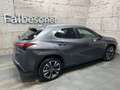 Lexus Sonstige UX 250h Style Edition Aut. Grau - thumbnail 5