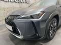Lexus Sonstige UX 250h Style Edition Aut. Grau - thumbnail 3