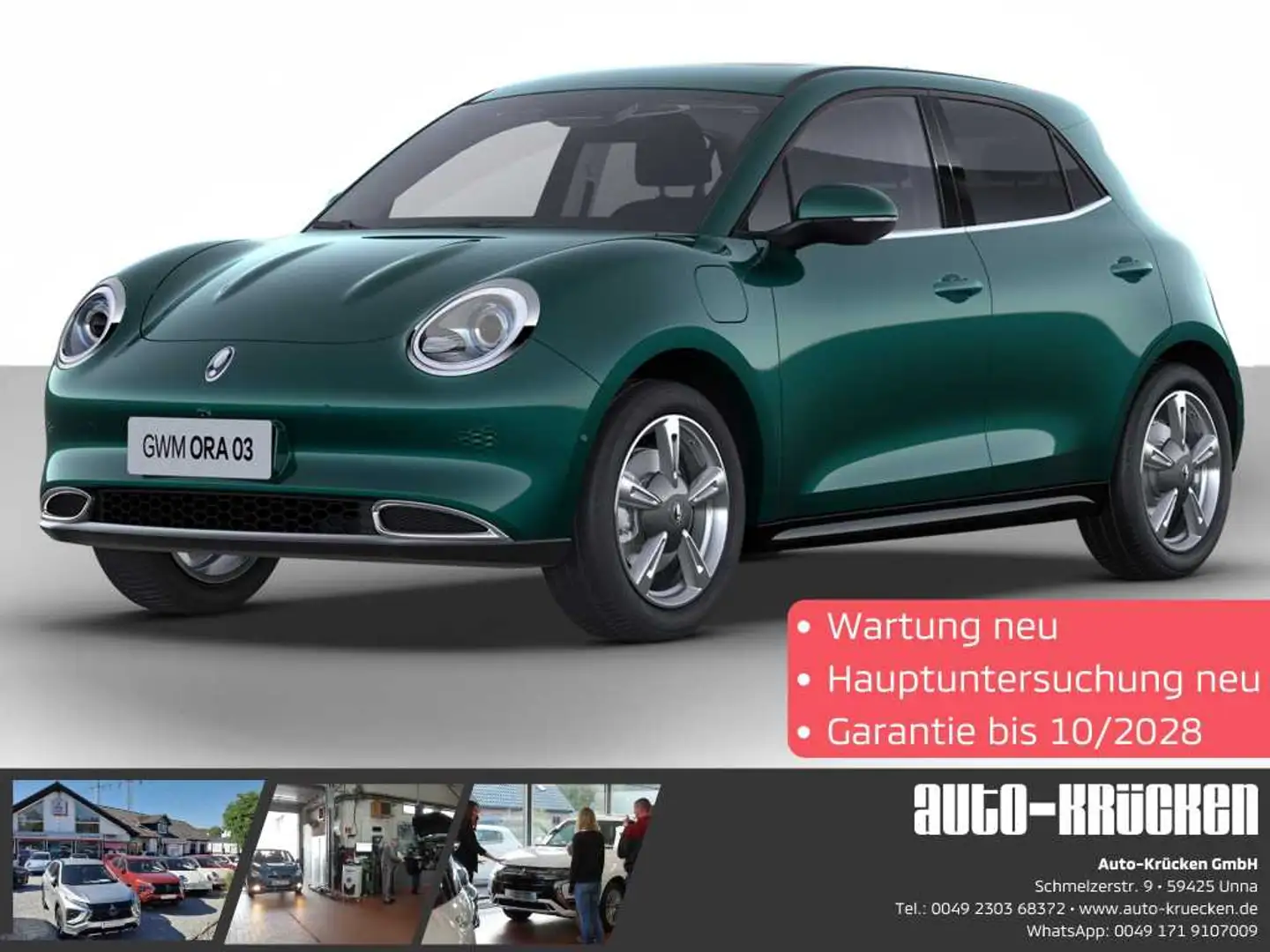 GWM ORA 03 400 PRO mit Wärmepumpenfunktion Grün - 1