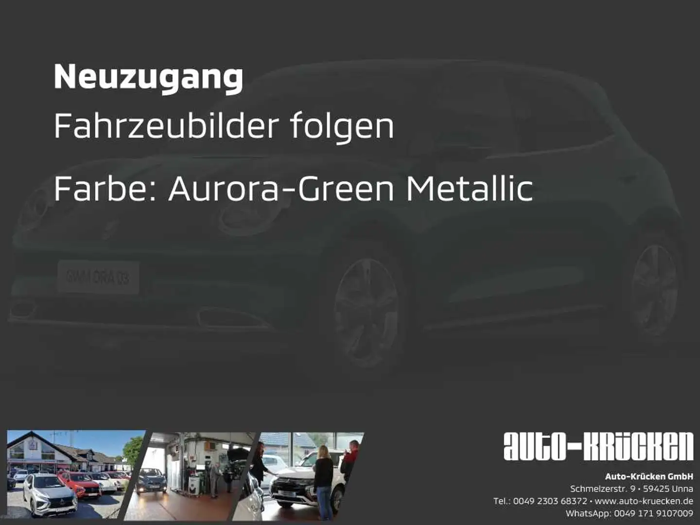 GWM ORA 03 400 PRO mit Wärmepumpenfunktion Grün - 2