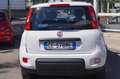 Fiat Panda 0.9 TwinAir Turbo Natural Power City Life 5 POSTI Bianco - thumbnail 5