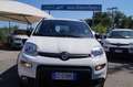 Fiat Panda 0.9 TwinAir Turbo Natural Power City Life 5 POSTI Bianco - thumbnail 1