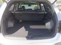 Kia Sorento Platinum PE AWD  NAPPA Panodach Blanc - thumbnail 15