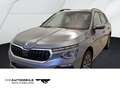 Skoda Kamiq 1.5 TSI DSG Selection Neues Modell Matrix/ Grau - thumbnail 1