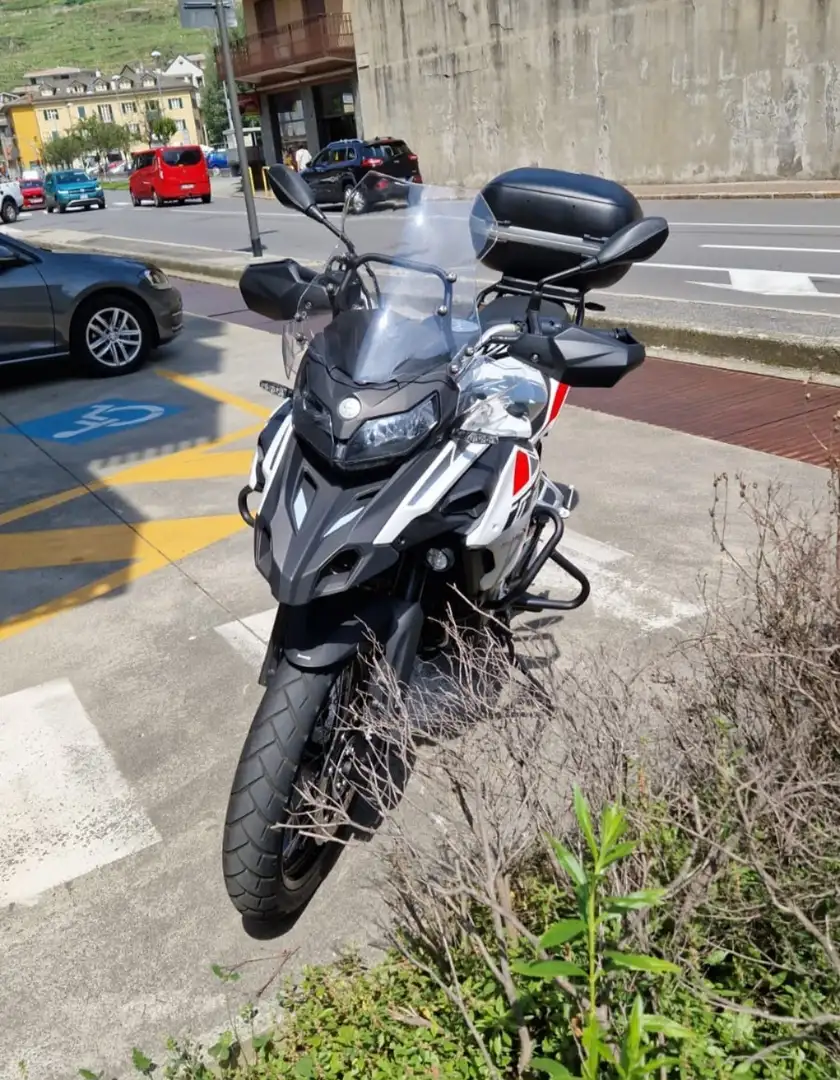 Benelli TRK 502 X Bianco - 2