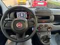 Fiat Panda 1.0 FireFly Hybrid S&S 70cv KmZero *PREZZO REALE* Bleu - thumbnail 12