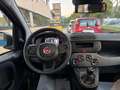 Fiat Panda 1.0 FireFly Hybrid S&S 70cv KmZero *PREZZO REALE* Bleu - thumbnail 11
