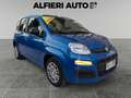 Fiat Panda 1.0 FireFly Hybrid S&S 70cv KmZero *PREZZO REALE* Bleu - thumbnail 1