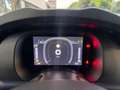 Fiat Panda 1.0 FireFly Hybrid S&S 70cv KmZero *PREZZO REALE* Bleu - thumbnail 13