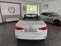Audi S5 CABRIO KEYLESS CARBON B&O 360 HUD T-WINKEL Weiß - thumbnail 5