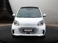 smart forTwo EQ 60kWed pulse SHZ PDC Dig Radio Navi Blanc - thumbnail 3