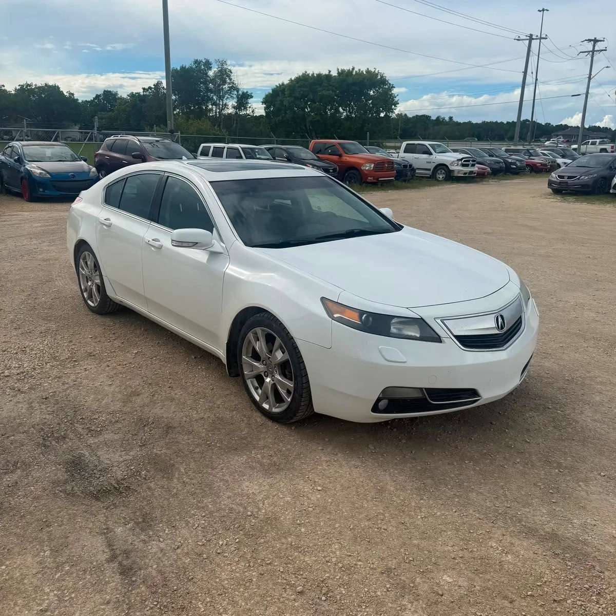 2014 Acura TL w/Elite Pkg AWD!!! HEATED/ COOLED SEATS!! BACKUP C