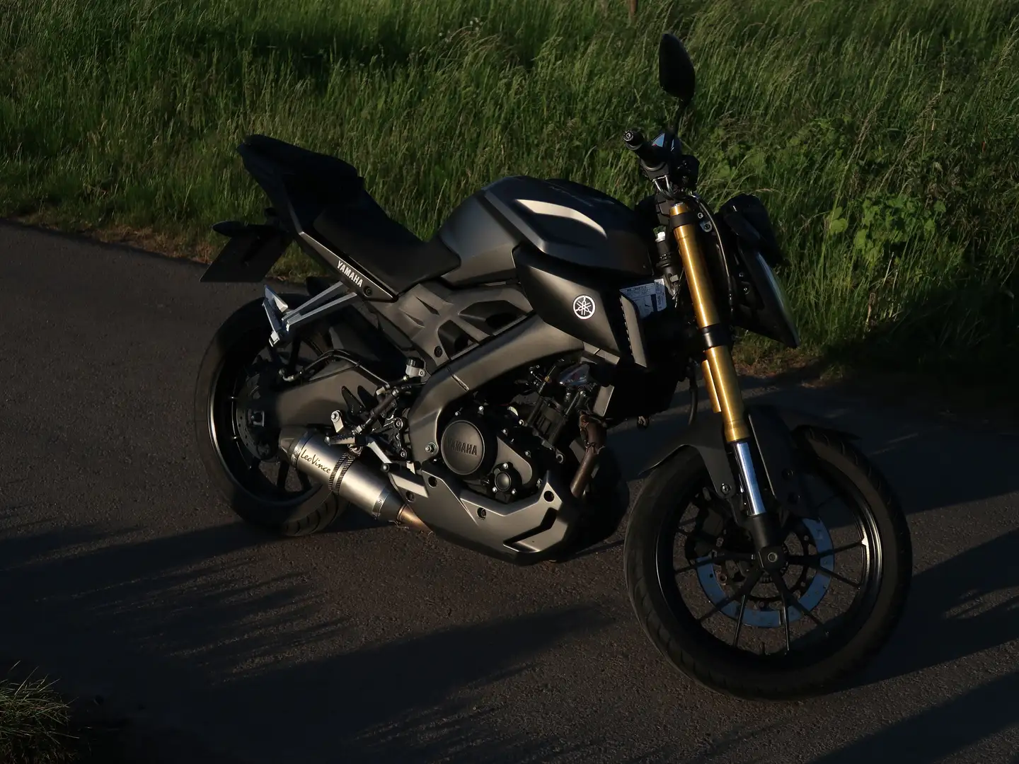 Yamaha MT-125 - 2