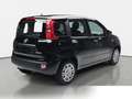 Fiat Panda 1.0 Mild Hybrid Pandina Icon (EURO 6e) Blau - thumbnail 2