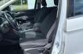 Ford Kuga 1.5 EcoBoost Trend Ultimate Weiß - thumbnail 10