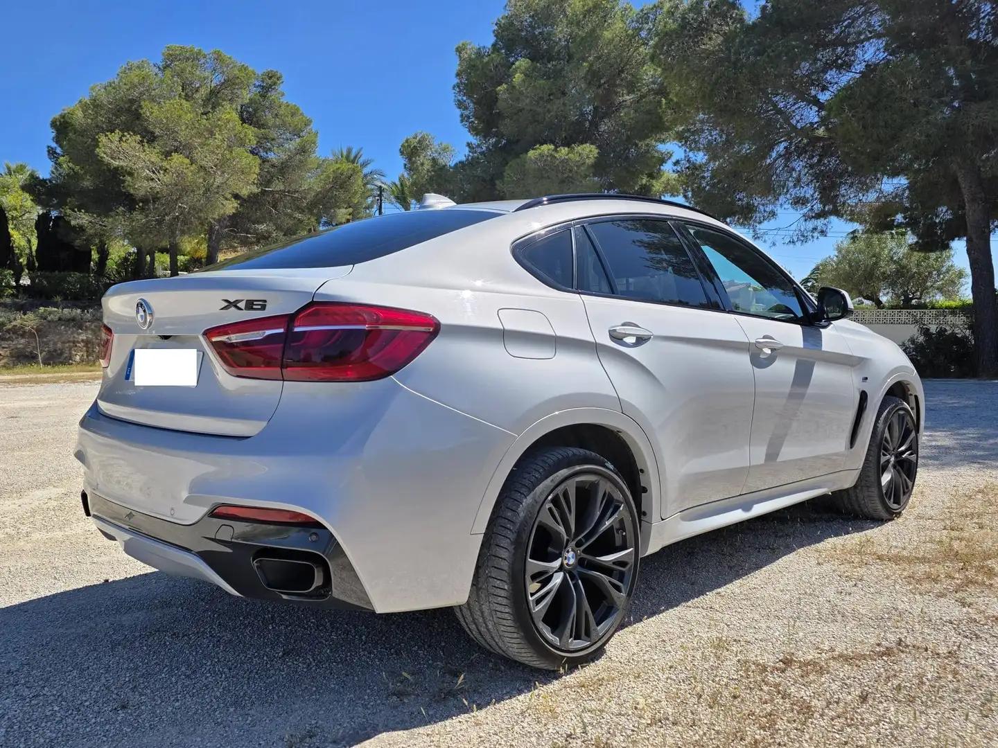 BMW X6 X6 xDrive 30dA Plateado - 2