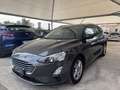 Ford Focus 1.5 EcoBlue 120CV SW Business Grigio - thumbnail 3