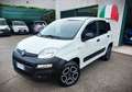Fiat Panda VAN 2 POSTI 4x4 FRIZIONE E CATENA NUOVE Blanc - thumbnail 1