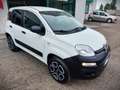 Fiat Panda VAN 2 POSTI 4x4 FRIZIONE E CATENA NUOVE Blanc - thumbnail 3