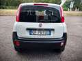 Fiat Panda VAN 2 POSTI 4x4 FRIZIONE E CATENA NUOVE Blanc - thumbnail 6