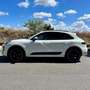 Porsche Macan 3.0d S 250cv pdk Bianco - thumbnail 4