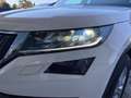 Skoda Kodiaq 2.0 TDI EVO SCR DSG S-Tech 7 posti Білий - thumbnail 42