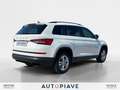 Skoda Kodiaq 2.0 TDI EVO SCR DSG S-Tech 7 posti Білий - thumbnail 5