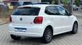 Volkswagen Polo V Highline Hagelschaden Weiß - thumbnail 8