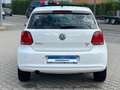 Volkswagen Polo V Highline Hagelschaden Weiß - thumbnail 7
