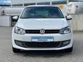 Volkswagen Polo V Highline Hagelschaden Weiß - thumbnail 3