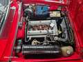 Alfa Romeo 1750 GT 1750  Prima serie quadrifoglio oro Rood - thumbnail 12