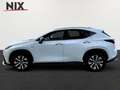 Lexus NX 450h+ E-FOUR F SPORT Bílá - thumbnail 3
