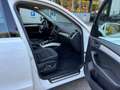 Audi Q5 2.0 TDI 177CV quattro S tronic*PELLE* Bianco - thumbnail 12