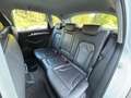 Audi Q5 2.0 TDI 177CV quattro S tronic*PELLE* Bianco - thumbnail 14