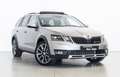 Skoda Octavia 2.0TDI CR DSG 4x4 135kW Gris - thumbnail 1