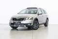 Skoda Octavia 2.0TDI CR DSG 4x4 135kW Gris - thumbnail 3