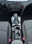 Kia Ceed / cee'd Spirit 1.5 T-GDI DCT7 +RFK+SHZ Grün - thumbnail 18
