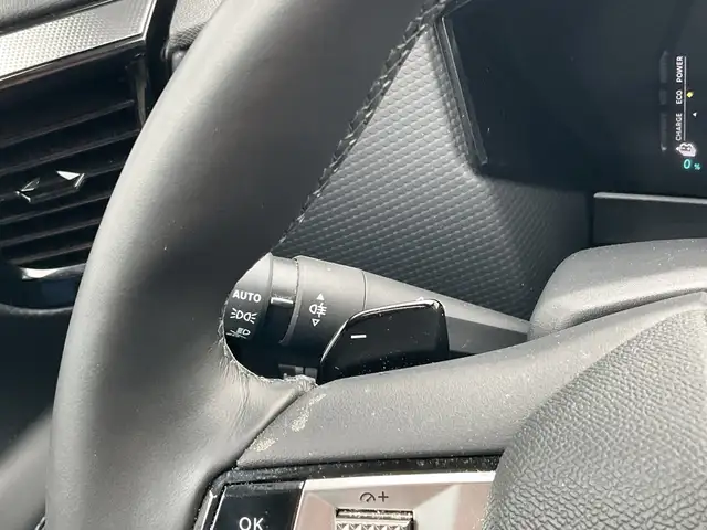DS Automobiles DS 4 view 28
