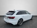 Audi A4 35 TDI S tronic S-Line NAVI PLUS AHK Weiß - thumbnail 2